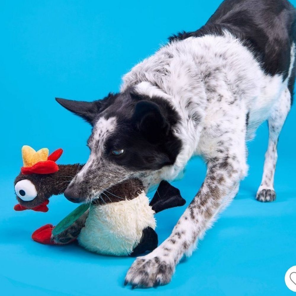 BARK Cockk-a-Doodle-Chew Brown Red Yellow White Green Beige Rooster Dog Toy - Picture 4 of 16